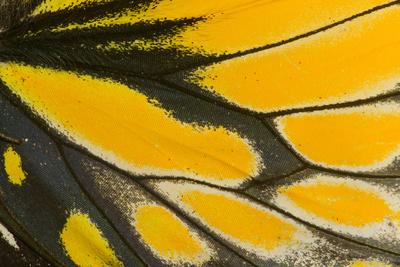 Photographic Print, , small