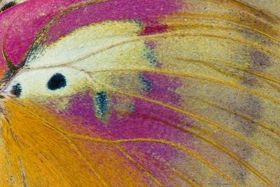 Photographic Print, , small