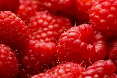 Photographic Print, , small