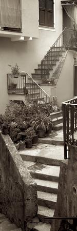 Photographic Print, , small