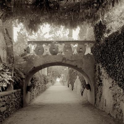 Photographic Print, , small