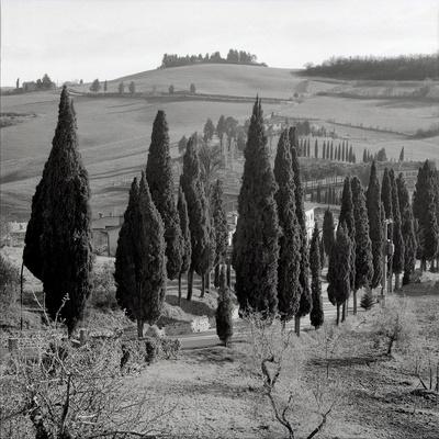 Photographic Print, , small