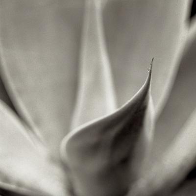 Photographic Print, , small