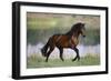 General of Legends-Bob Langrish-Framed Photographic Print