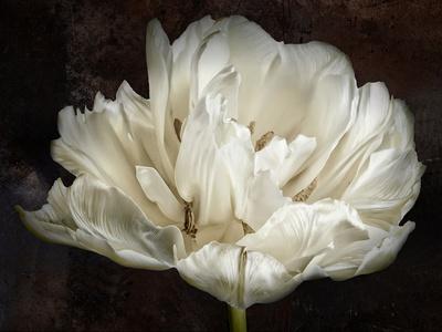 Photographic Print, , small