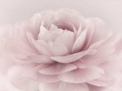 Photographic Print, , small