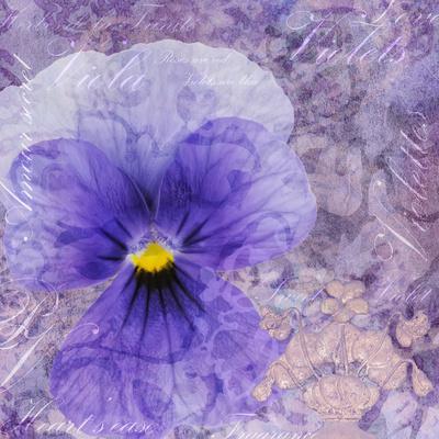 Photographic Print, , small