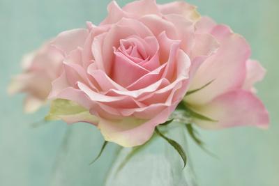 Premium Photographic Print, , small