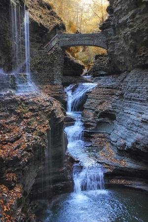 Premium Photographic Print, , small