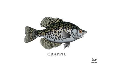 Giclee Print, , small