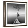 Alone with My Tree-Moises Levy-Framed Photographic Print