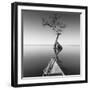 Alone with My Tree-Moises Levy-Framed Photographic Print