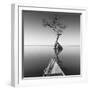Alone with My Tree-Moises Levy-Framed Photographic Print