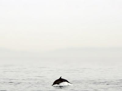 Photographic Print, , small