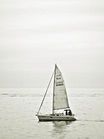 Photographic Print, , small