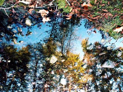 Photographic Print, , small