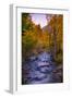 Autumn Stream View, Biship Creek Canyon Eastern Sierras-Vincent James-Framed Photographic Print