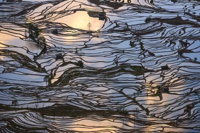 Photographic Print, , small