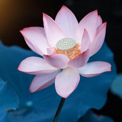 Photographic Print, , small