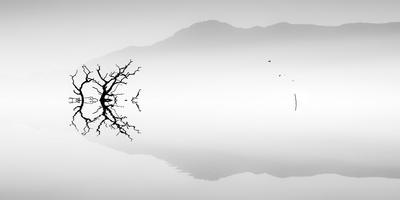 Photographic Print, , small