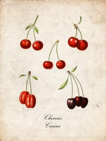 Art Print, , small