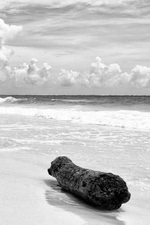 Photographic Print, , small