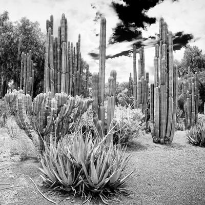 Photographic Print, , small