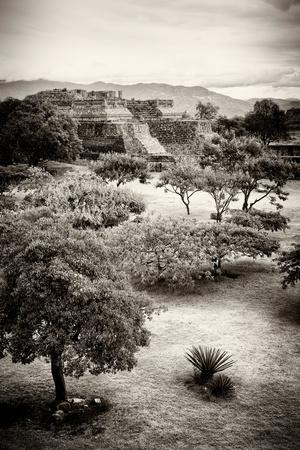 Photographic Print, , small