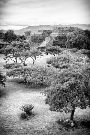 Photographic Print, , small