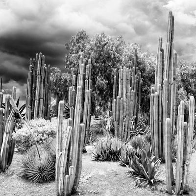 Photographic Print, , small