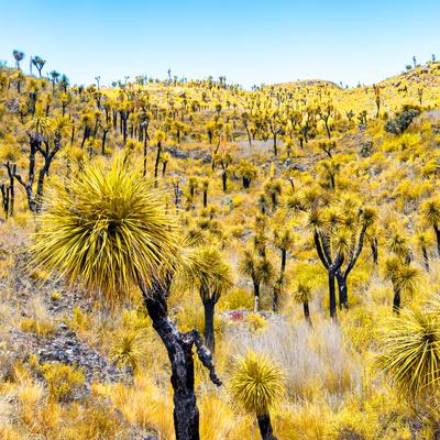 Photographic Print, , small