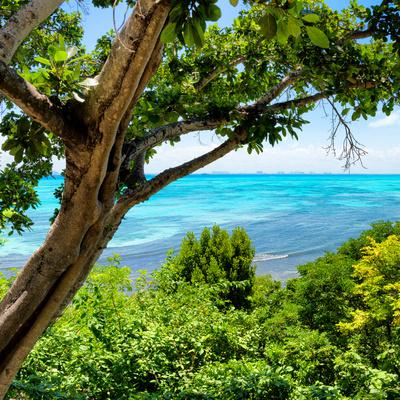 Photographic Print, , small