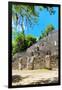 ¡Viva Mexico! Collection - Ruins of the ancient Mayan city of Calakmul II-Philippe Hugonnard-Framed Photographic Print