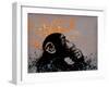 Thinker Monkey-The Graffiti Collection-Framed Giclee Print