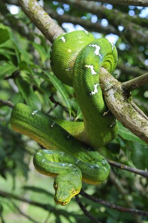 Photographic Print, , small