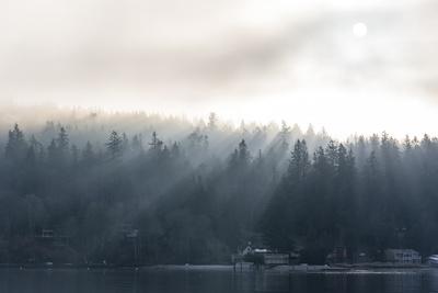 Photographic Print, , small