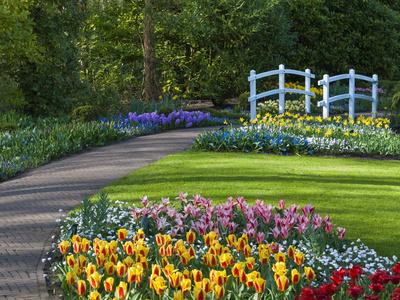 Photographic Print, , small