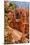 Bryce Canyon National Park Utah-Michael DeFreitas-Mounted Photographic Print