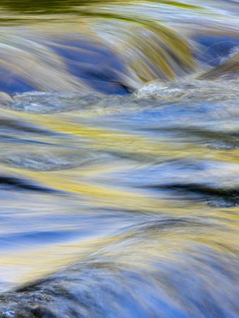 Photographic Print, , small