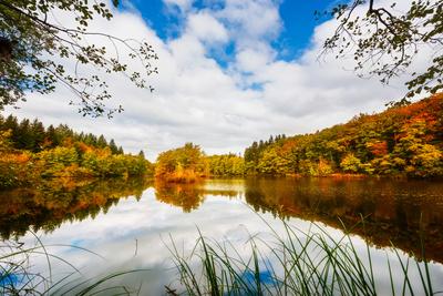 Photographic Print, , small