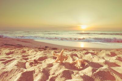 Photographic Print, , small