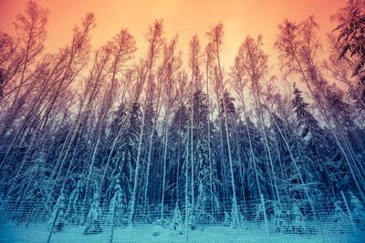 Photographic Print, , small