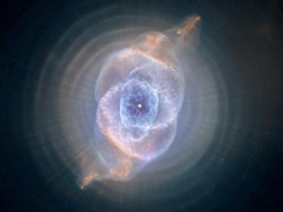 Photographic Print, , small