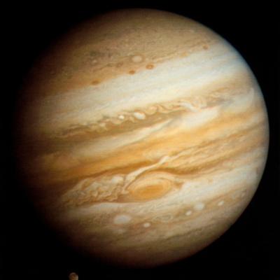 Photographic Print, , small