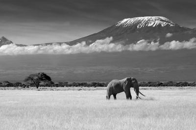 Premium Photographic Print, , small