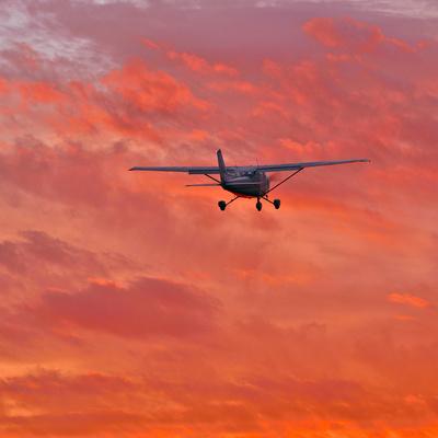 Photographic Print, , small