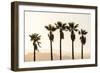 Los Angeles, California, USA: Five Palm Tress In A Row During The Golden Hour Just Before Sunset-Axel Brunst-Framed Photographic Print