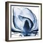 Magnolia Indigo-Albert Koetsier-Framed Art Print