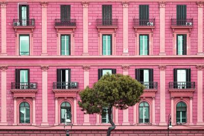 Photographic Print, , small