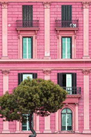 Photographic Print, , small